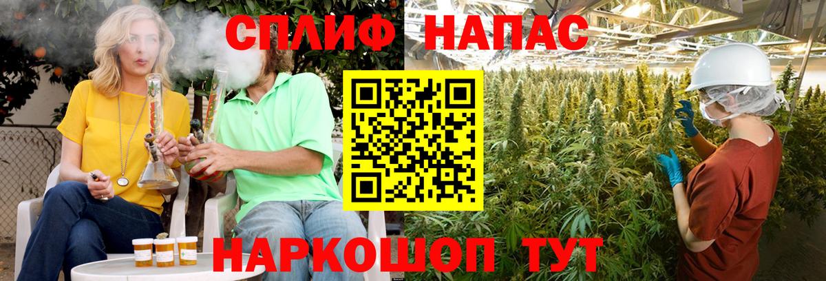 Бошки Шишки индика Углич